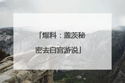 爆料：盖茨秘密去白宫游说